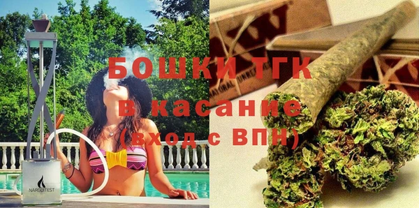 гашик Алексин