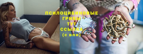 прущий лед Арсеньев
